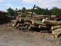 Camion de bois ultra sec en grume – Hêtre, Chêne, Charme – 30 stères